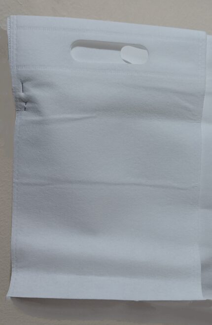Nonwoven Bag